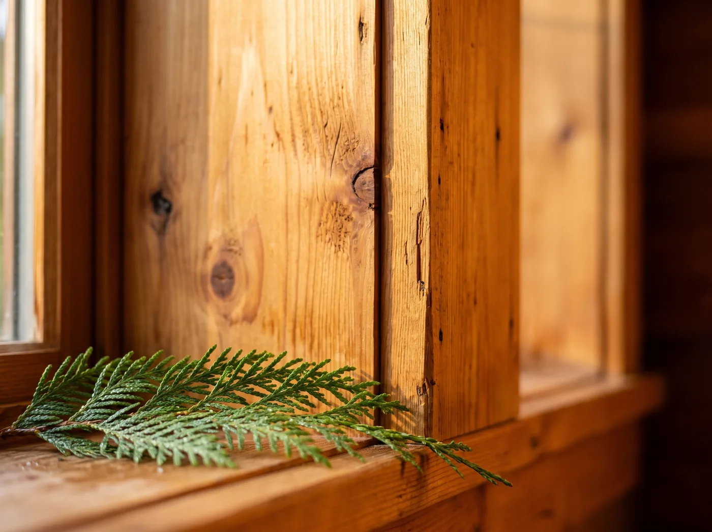 Warm cedar boards inside Cedar & Stone Lodge